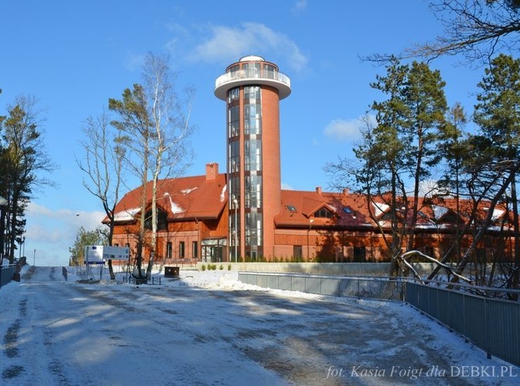 Wieża Widokowa Rybacz&oacute;wka